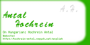 antal hochrein business card